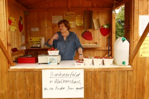 Unser Verkaufstand - Erdbeeren Holzner in Walkersbach