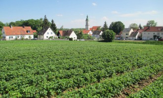 Unser Erdbeerfeld - Erdbeeren Holzner in Freising / Neustift